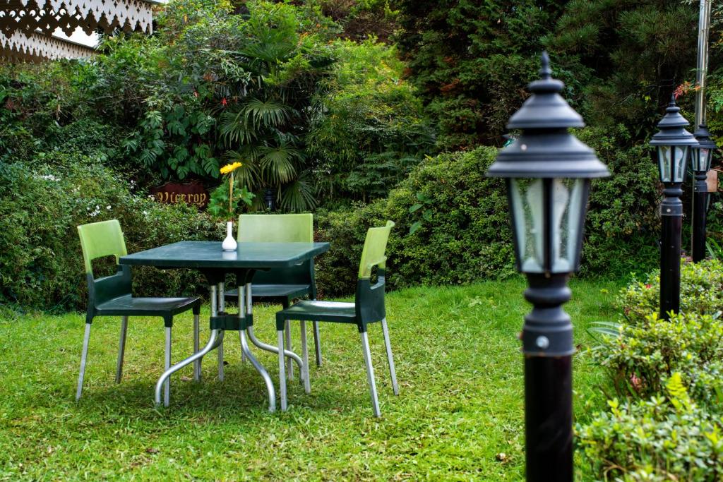 Zahrada ubytování Hotel Viceroy