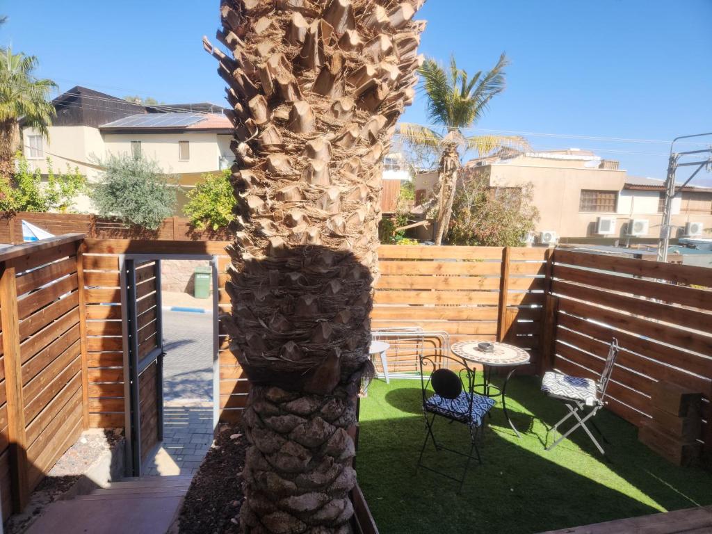 eine Palme in einem Hinterhof mit einem Tisch und Stühlen in der Unterkunft Shalom&#39;s place in Eilat