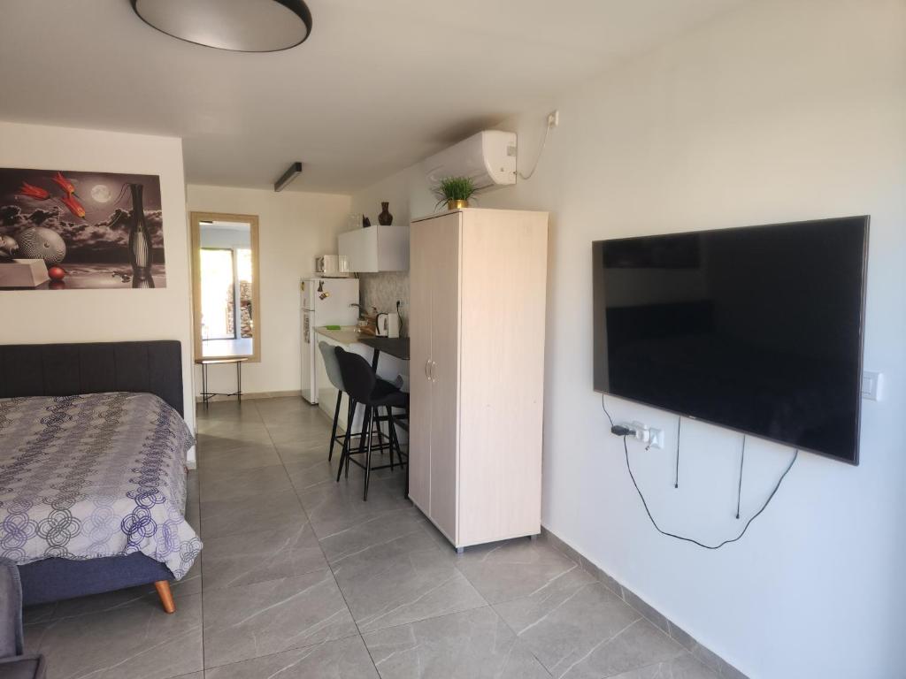 ein Schlafzimmer mit einem Bett und einem Flachbildfernseher an der Wand in der Unterkunft Shalom&#39;s place in Eilat