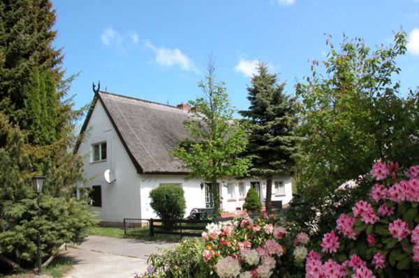 Zahrada ubytování Meeressterne Ferienresort Damerow