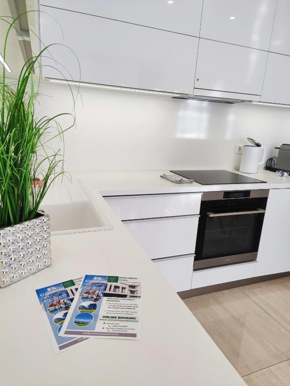 Kuchyňa alebo kuchynka v ubytovaní Spa Residence Carbona EmDoNa Luxury Apartment