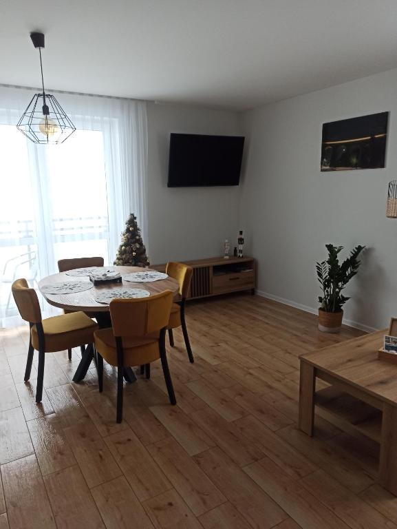 TV a/nebo společenská místnost v ubytování Apartamenty Szarotka