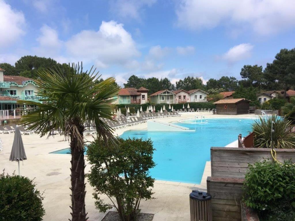 ein Pool in einem Resort mit einer Palme und Häusern in der Unterkunft Logement entier : appartement en résidence - Lacanau, France in Lacanau