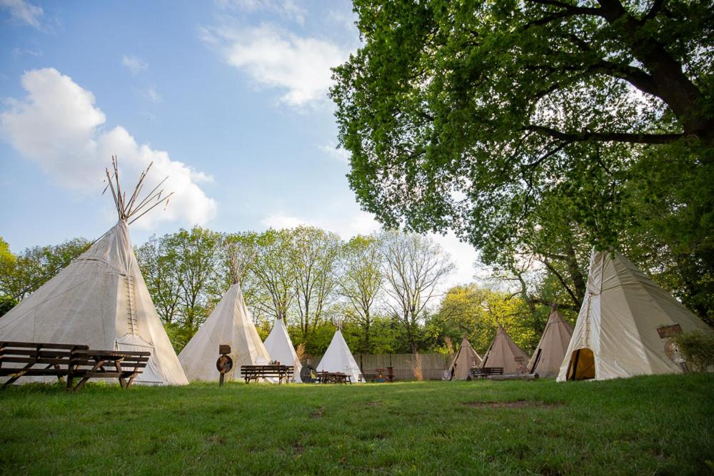 a group of tents in a field with trees at Tipidorf Walbeck in Geldern