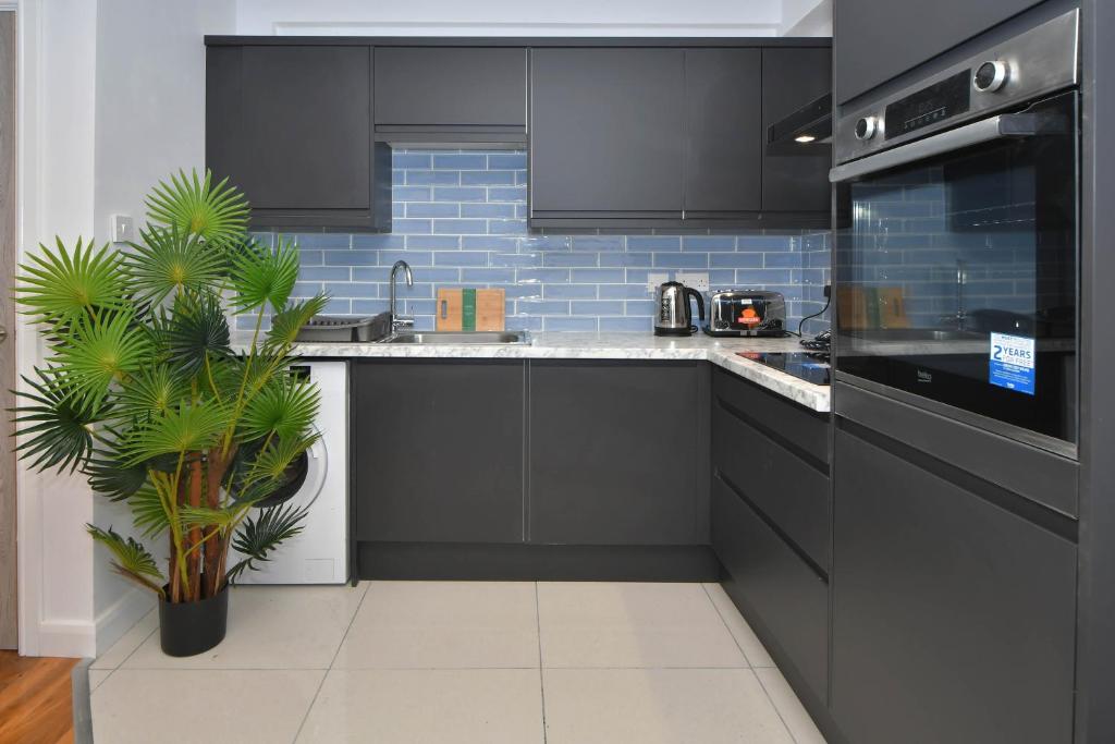 a kitchen with black cabinets and a potted plant at Beautiful 1BR Apt for contractors in Stoke TV Wifi Washer in Stoke on Trent