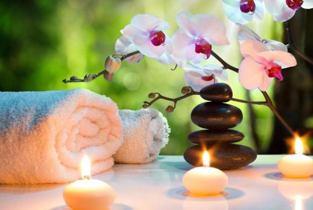 Zahrada ubytování Pałacyk Otrębusy Business & Spa