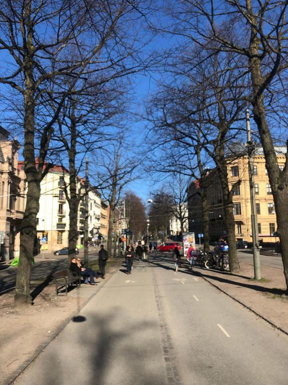 a tree lined street with people sitting on a bench at Cozy Cottage In Central Gothenburg in Gothenburg
