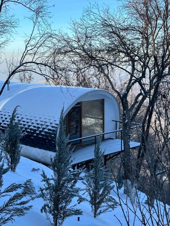 una casetta nel bosco nella neve di Apple Resort a Almaty