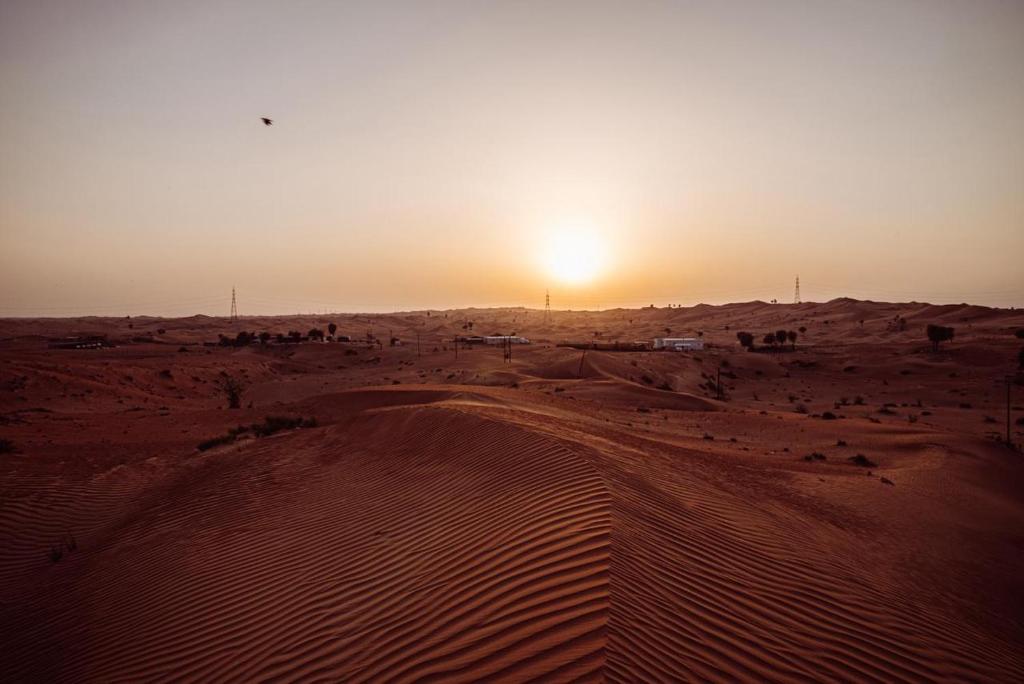 a desert with the sun setting in the horizon at مزرعة واستراحة ألفي الترفيهية بالهير in Al Qaia