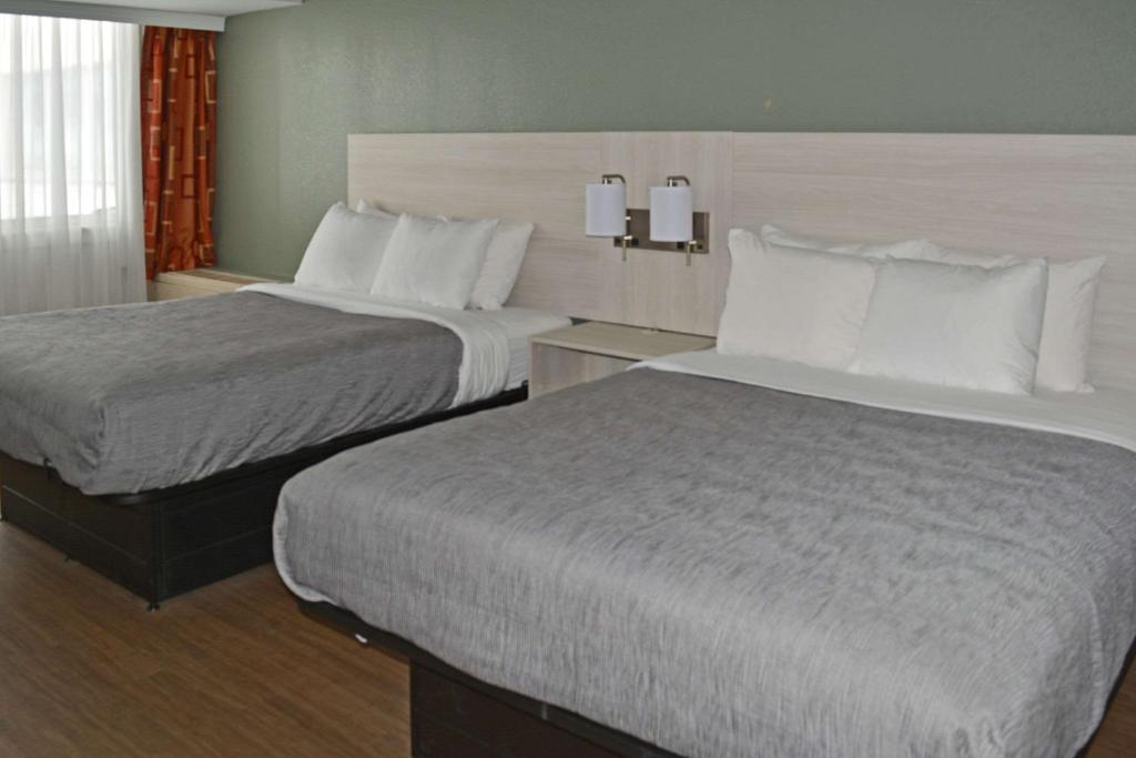 Postel nebo postele na pokoji v ubytování Quality Inn & Suites East Syracuse - Carrier Circle