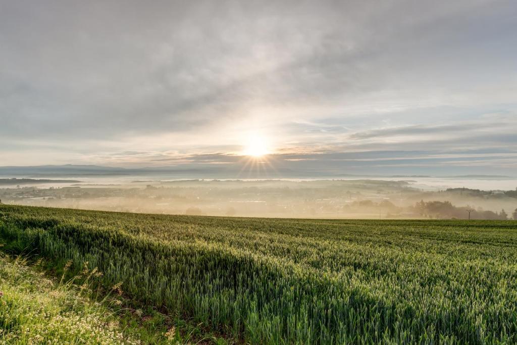 Przyroda w pobliżu tego apartamentu