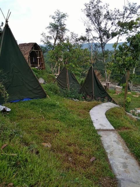 Zahrada ubytování Borneo camp