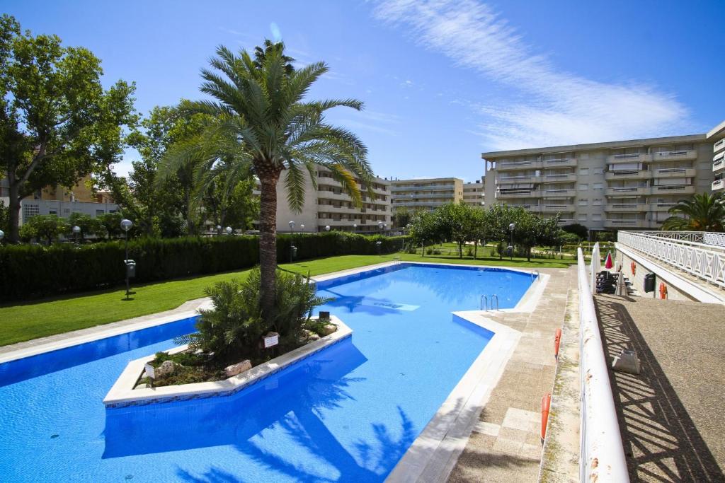 una gran piscina azul con una palmera junto a un edificio en AQUAMARINA C HomeStay By Turismar, en La Pineda