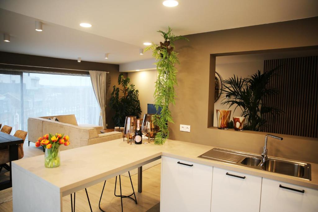 a kitchen with a sink and a counter with plants at L'appart Baobab, avec sauna in Liège