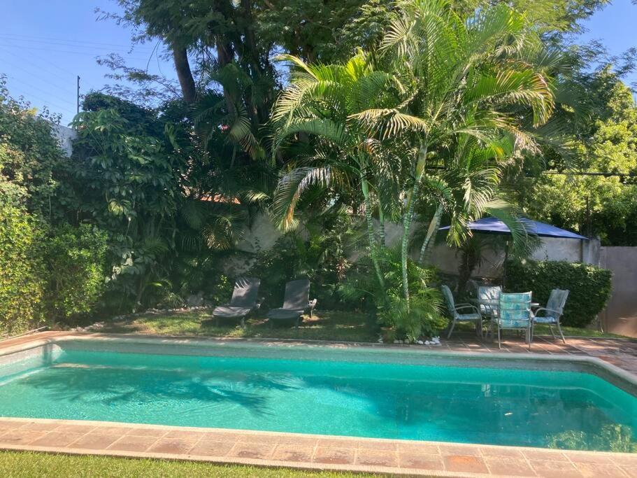 une piscine avec un palmier et une maison dans l'établissement Brisas Verdes. Increíble espacio con alberca climatizada, à Temixco