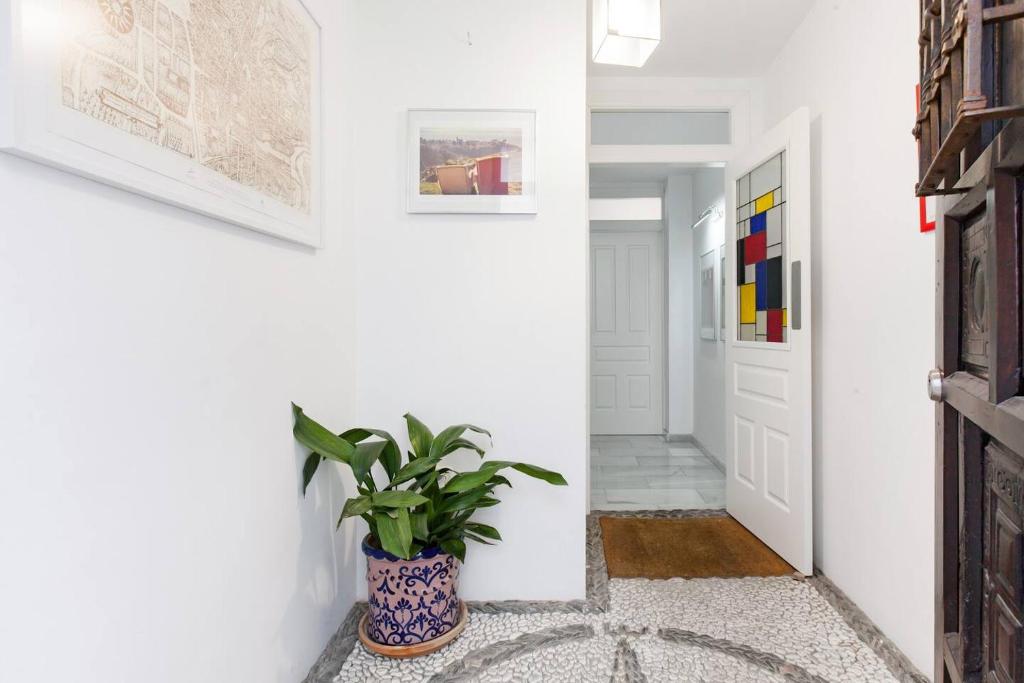 Apartamentos Bravo Albaicín - 10