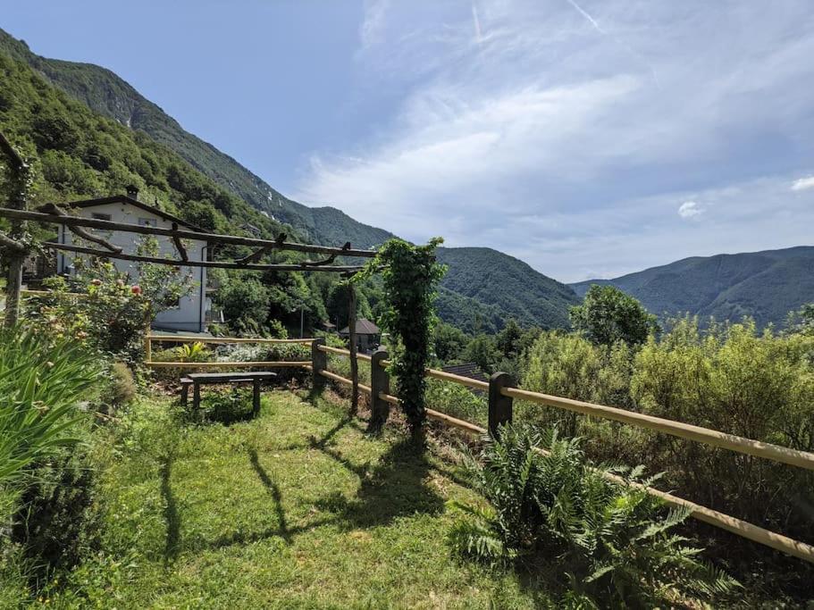 un banco en un campo con montañas en el fondo en Wild Valley Garden Paradise in Valle Onsernone, en Auressio