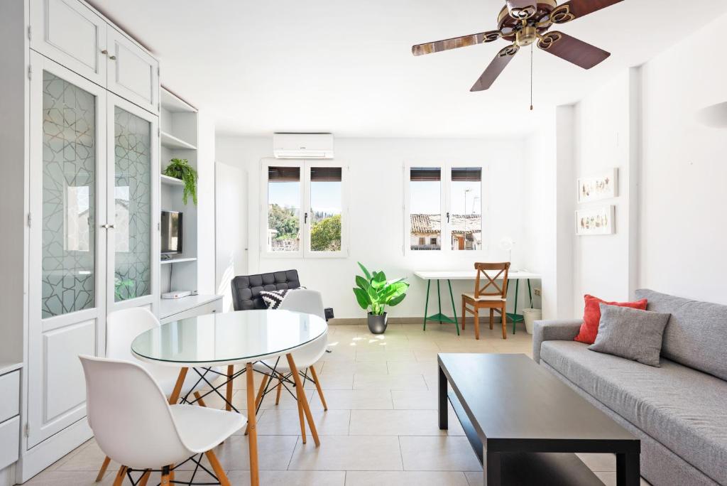 Apartamentos Bravo Albaicín - 1