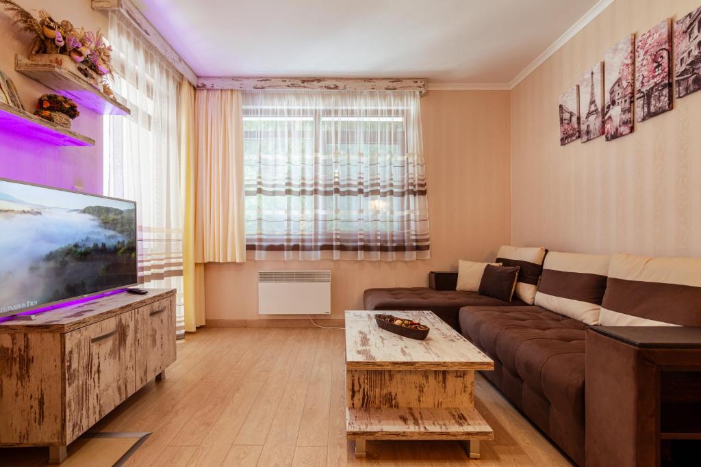 TV a/nebo společenská místnost v ubytování Lake View Apartment