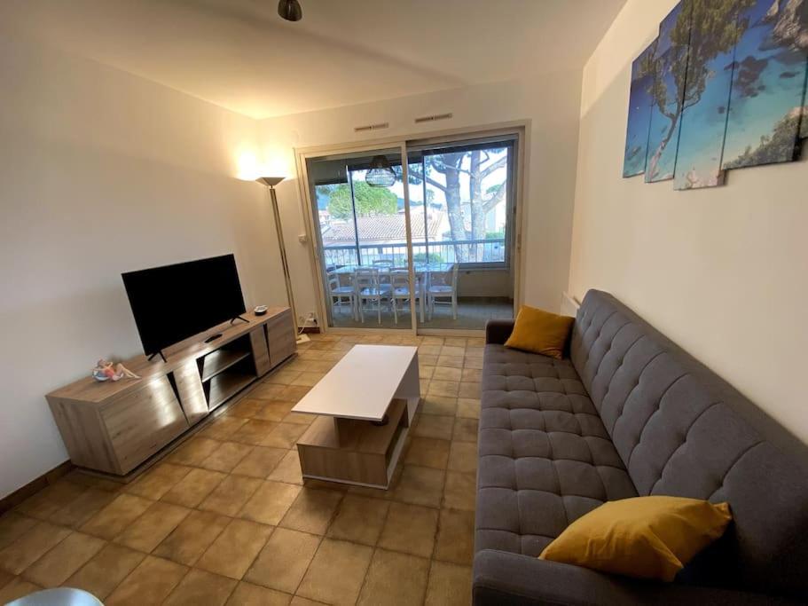 a living room with a couch and a tv at Bel appartement proche des criques - Climatisé in Six-Fours-les-Plages