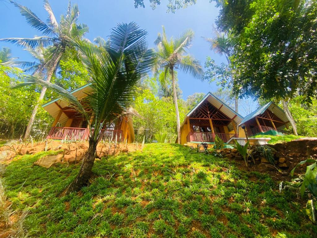 The Rainforest Hideaway - 5