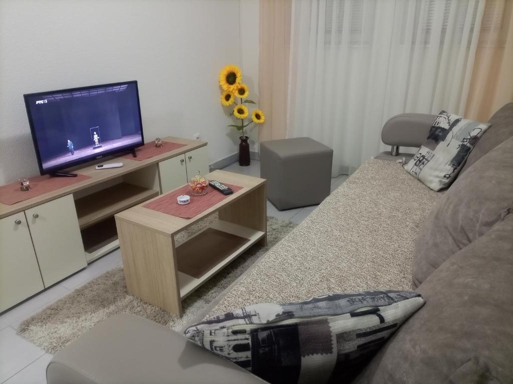 a living room with a couch and a flat screen tv at JelaLux in Gornja Toplica