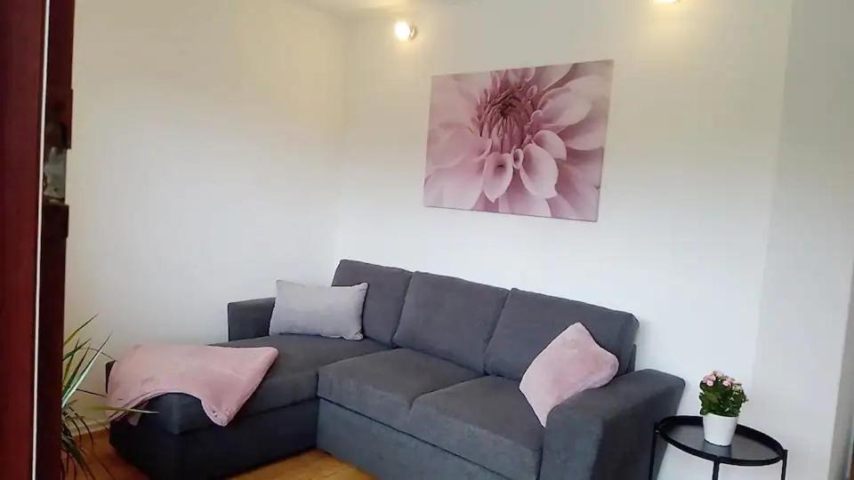 uma sala de estar com um sofá azul com almofadas cor-de-rosa em Ankommen und Wohlfühlen em Bad Bergzabern