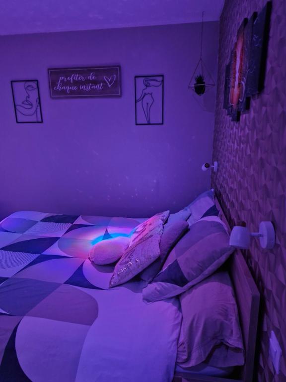 a purple bedroom with a bed with pillows at Chambres d&#39;hôtes avec jacuzzi privatif in Westrehem