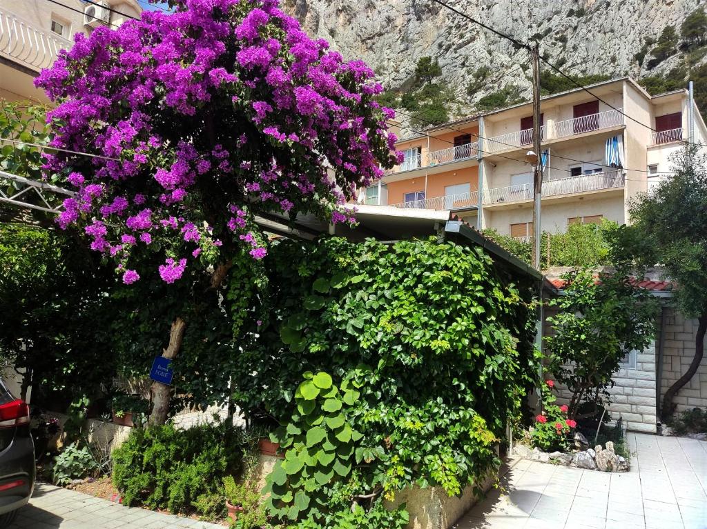 een struik met paarse bloemen bovenop een gebouw bij Apartments Mimi Omis in Omiš