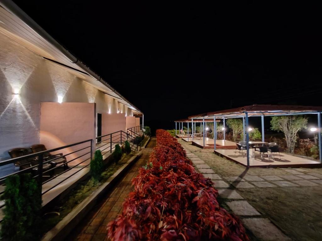 een rij rode planten naast een gebouw 's nachts bij Vayu Homestay - Kas Pathar in Kanera