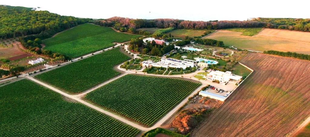 een luchtfoto van een huis in een veld bij Agriturismo Vigna Corallo in Otranto