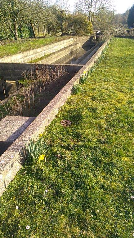 Zahrada ubytování Gîte du Pont de Tancelle