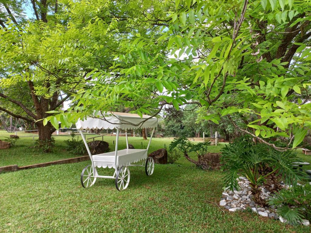 a white carriage sitting in the grass under a tree at Tarentilos in Tzaneen