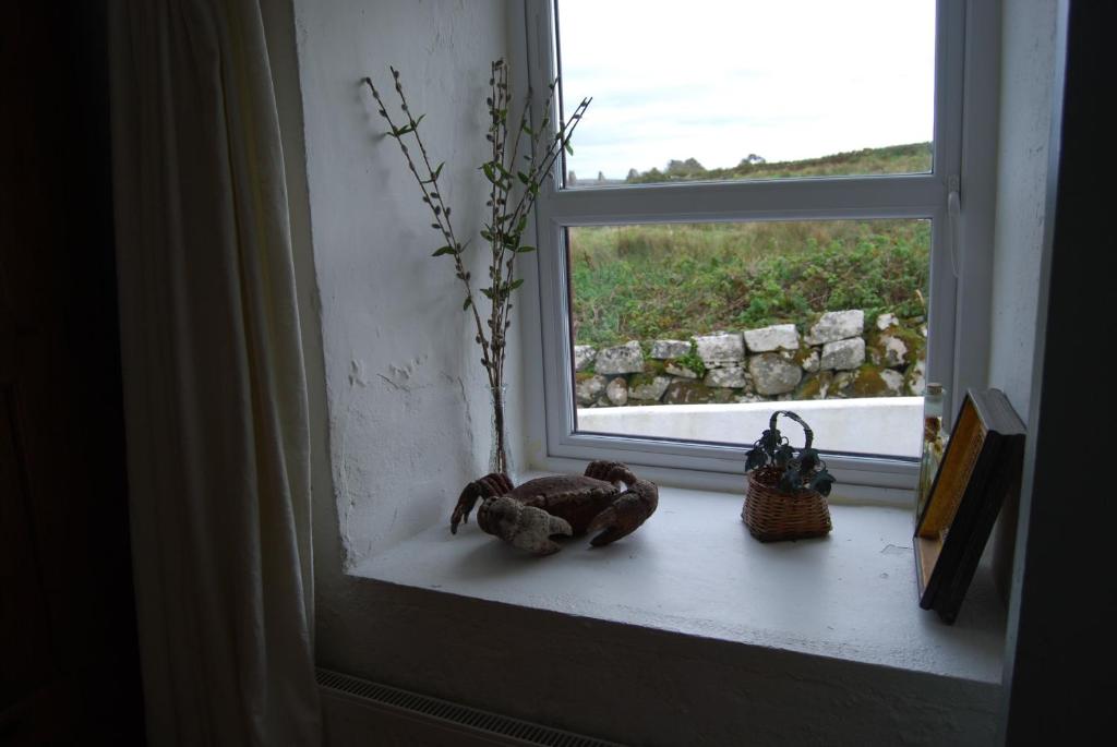 Fotografie z fotogalerie ubytování Roundstone 134 Seans Cottage Inishnee v destinaci Roundstone