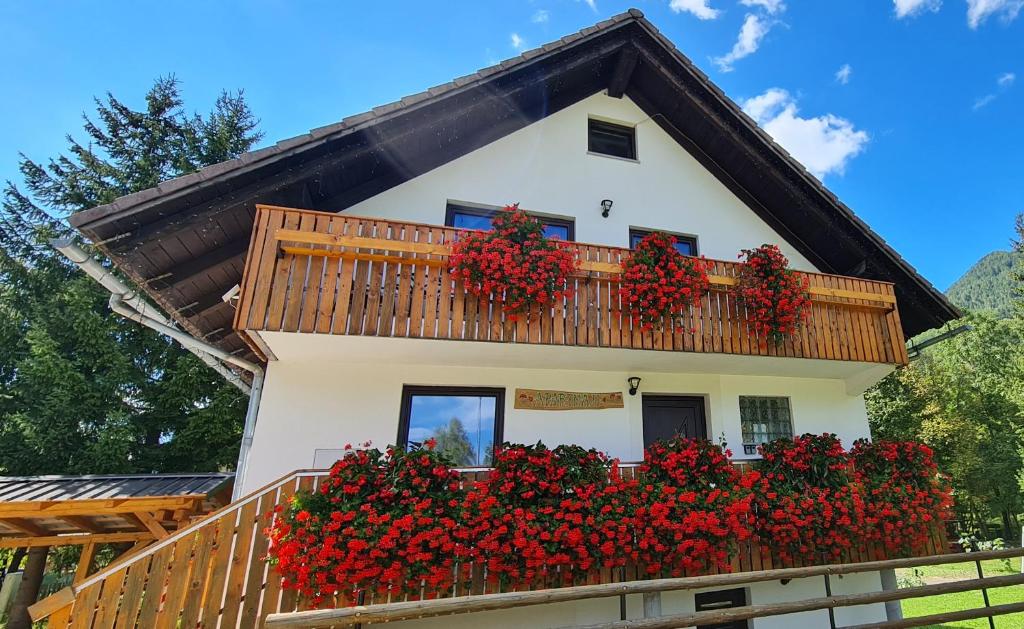 Budova, kde se apartmán nachází