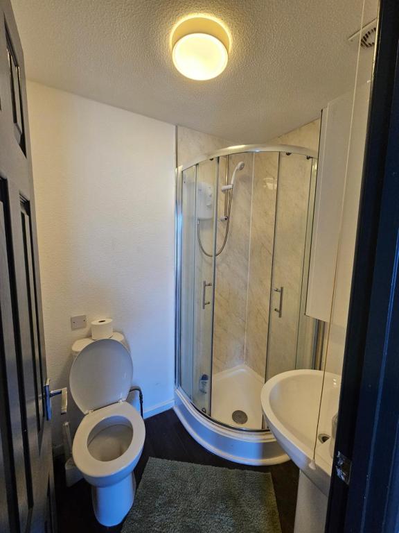 a bathroom with a shower and a toilet and a sink at BG Homes in Peterborough
