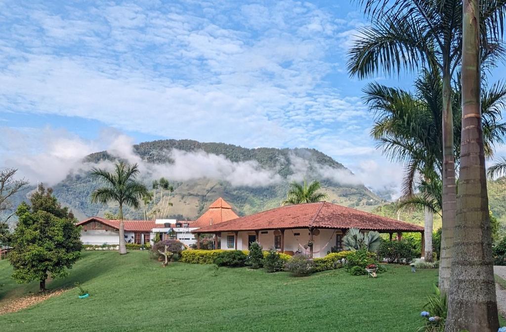 a house with palm trees and a mountain in the background at Patio Bonito in Jardin