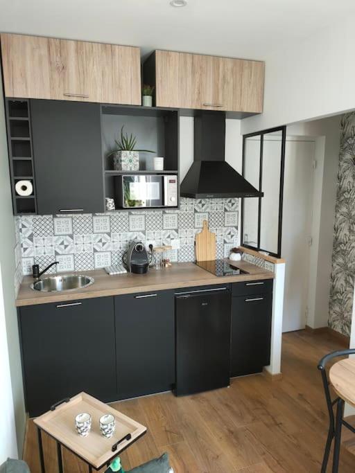 une cuisine avec un évier et un plan de travail dans l'établissement Superbe T2 neuf dans maison de maitre hyper centre, à Épinal