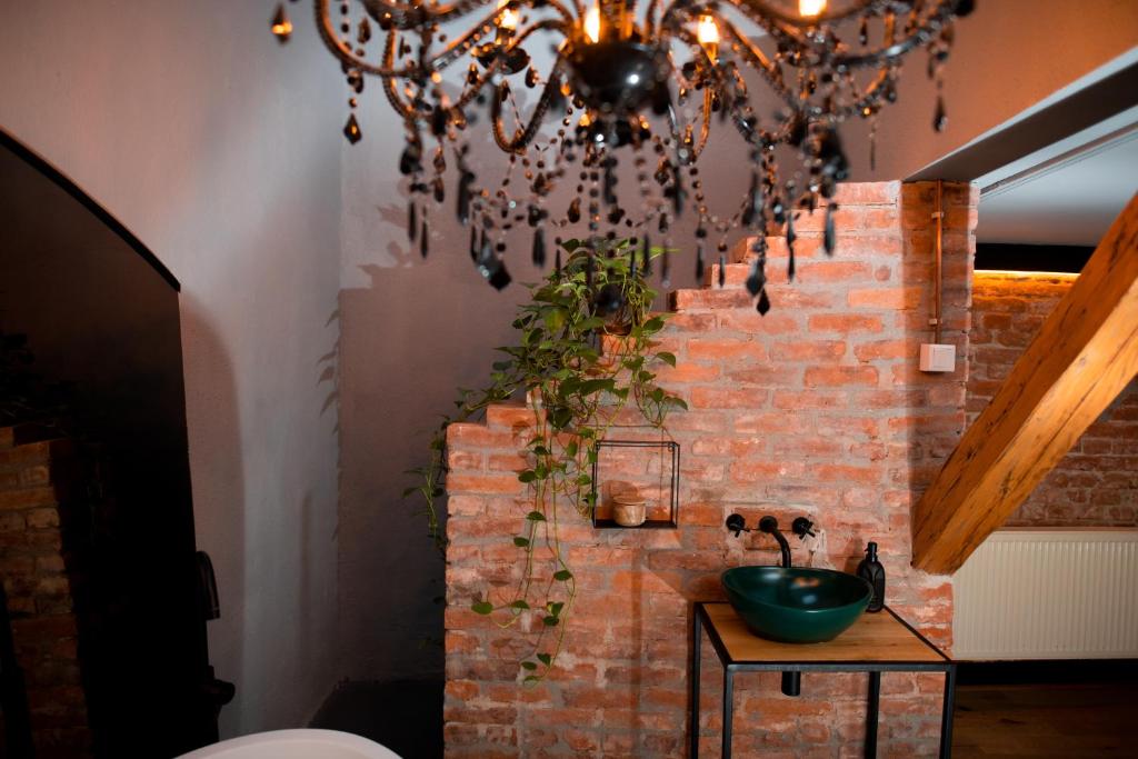 Imagine din galeria proprietății World Studio Sibiu în Sibiu