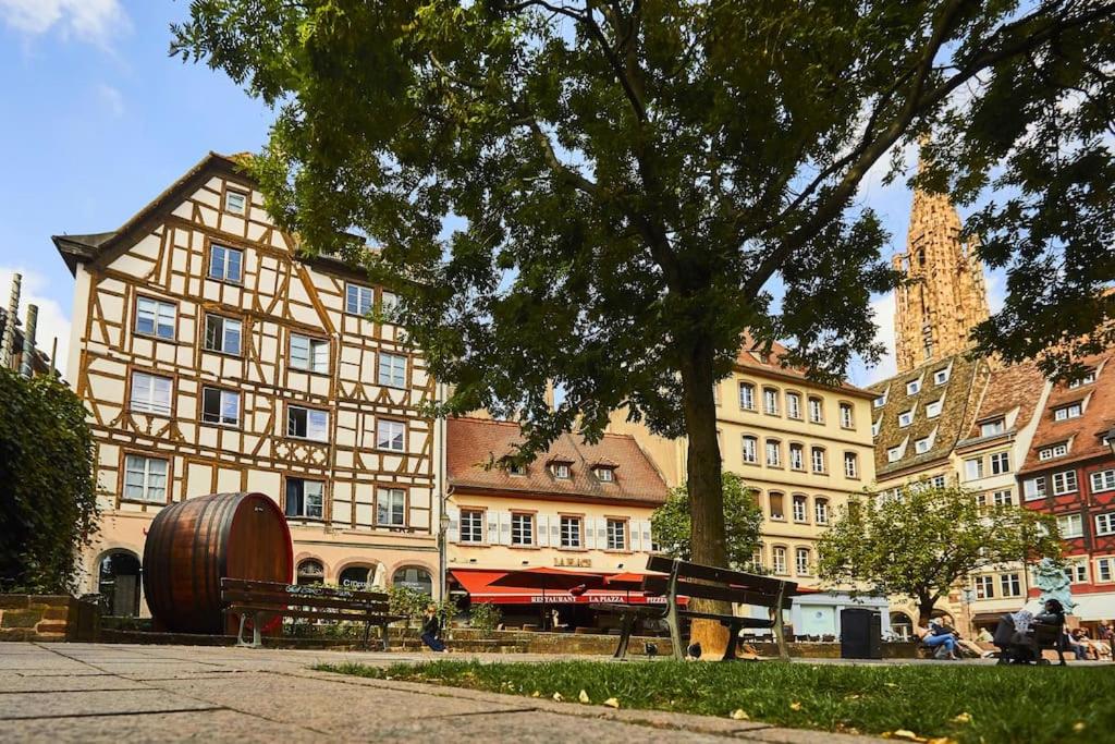 un groupe de bâtiments dans une ville avec un arbre dans l'établissement Petit & authentique hyper centre, à Strasbourg