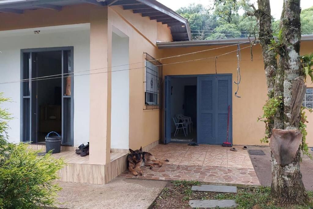 pies leżący na ganku domu w obiekcie Recanto do Descanso w mieście Caxias do Sul