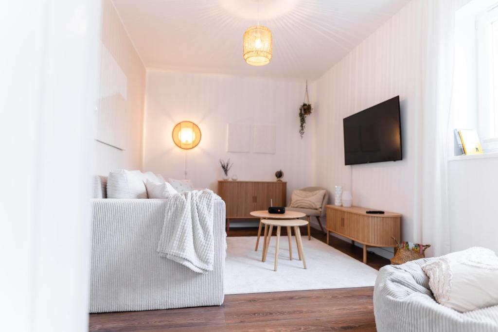 ein Wohnzimmer mit einem Sofa und einem TV in der Unterkunft HAPPYHOME Wolfsburg, 2 Schlafzimmer, 3 Doppelbetten, 6 Personen, zentrale Lage, Outletcenter, Autostadt, Familien, Freunde & Geschäftsreisende, kostenlos Parken in Wolfsburg