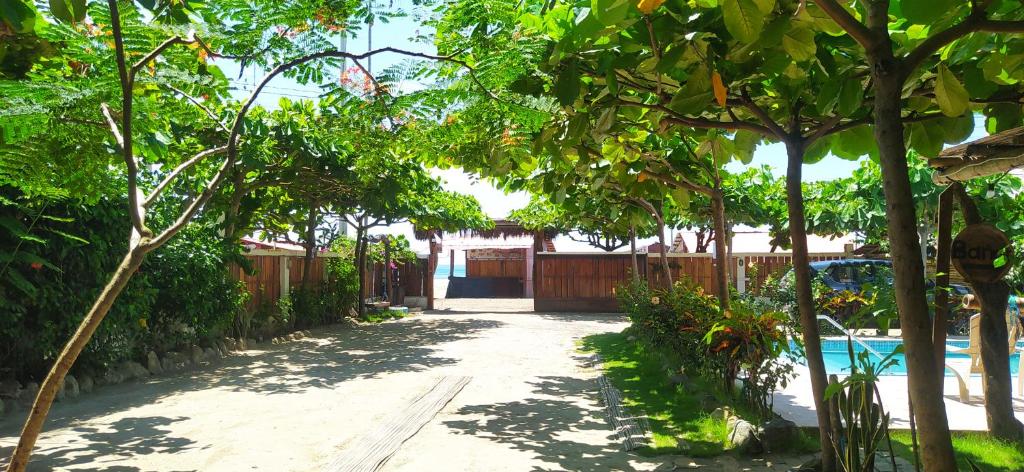 a driveway leading to a house with a pool and trees at Canoamar in Canoa