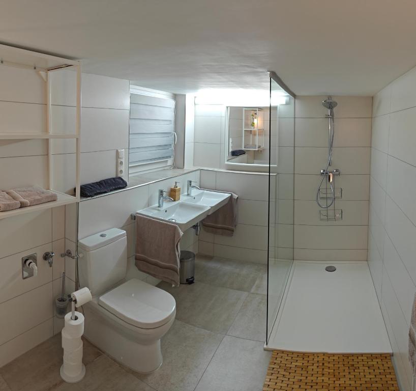 a bathroom with a toilet and a sink and a shower at Goldbergsee-Apartment in Coburg