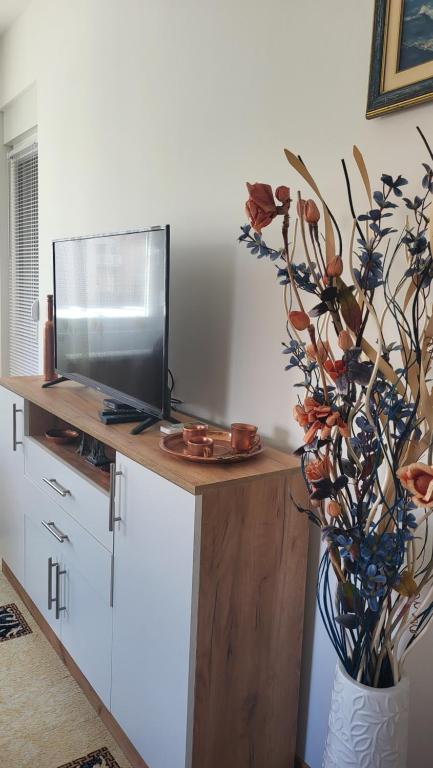 a living room with a television and a vase with flowers at DIAMOND Ledine Novi Beograd in Ledine