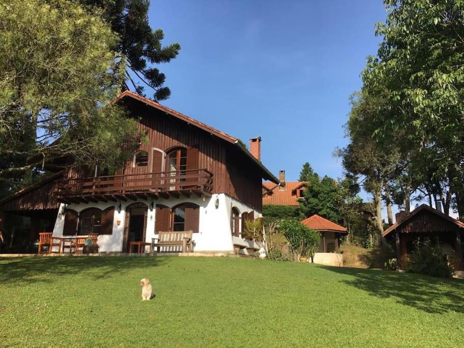 a dog sitting in the grass in front of a house at Casa Aconchegante em Monte Verde in Camanducaia