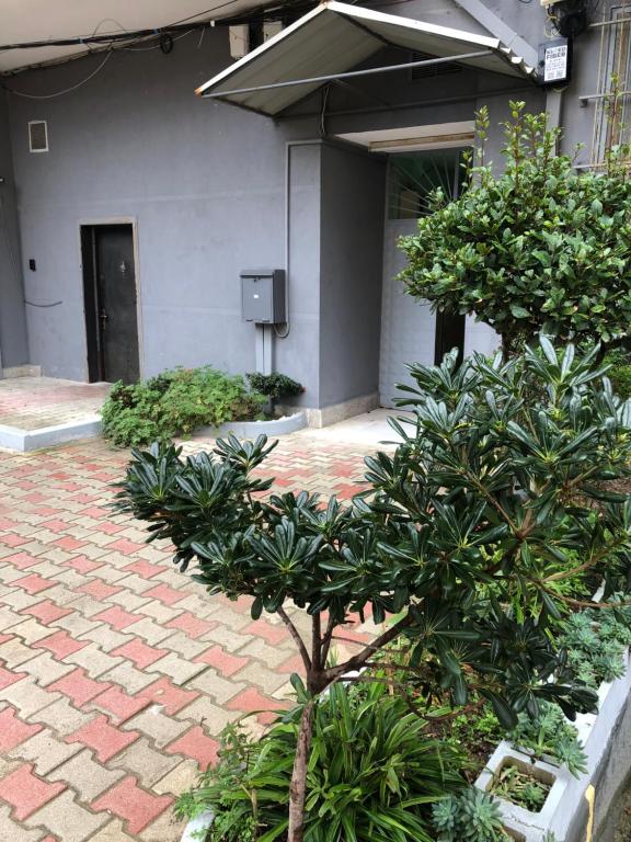 Amar’s apartment - Image 9