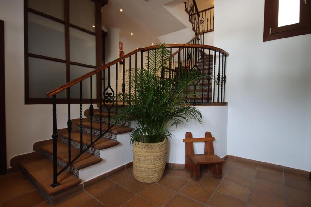 a staircase with a potted plant in a room at Hostal La Muralla in Zahara de los Atunes