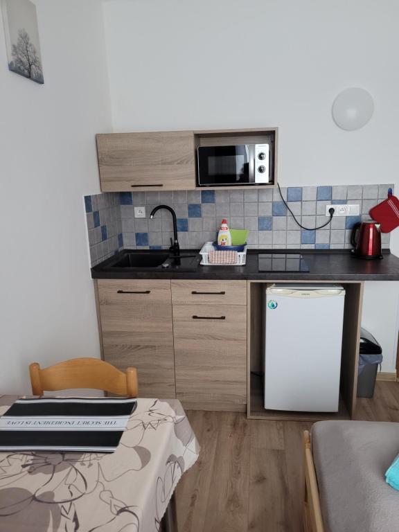 Kuchyň nebo kuchyňský kout v ubytování Apartmány 009