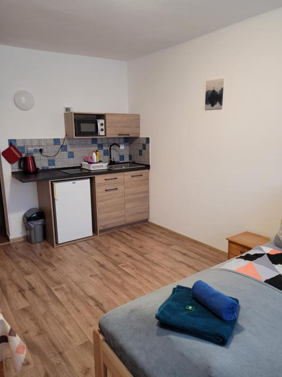 Kuchyň nebo kuchyňský kout v ubytování Apartmány 009